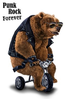 Punk Rock Bear on Tricycle