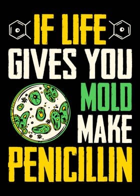 Microbiology Penicillin