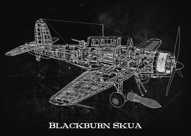 Blackburn Skua