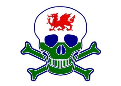 Welsh Flag Skull