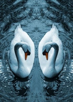 Swan Mirror