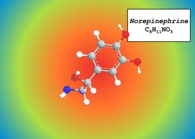 Norepinephrine