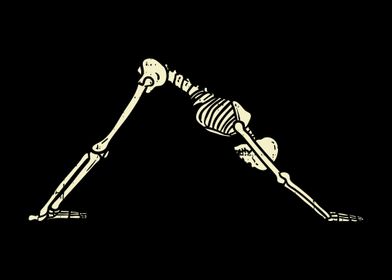 Downward Dog Skeleton Yoga