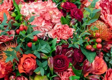 Closeup assortment Flowers