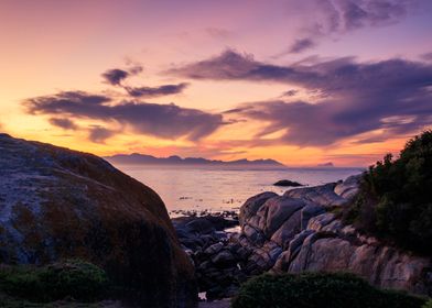 Boulders beach 