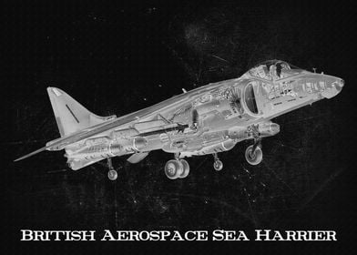 British Aerospace Sea Harr