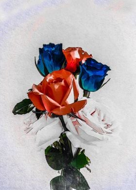 Red Blue and white roses