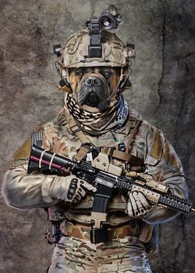 Bullmastiff Elite Soldier