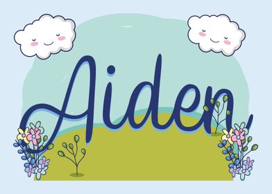 AIDEN Baby Name Sign Gift