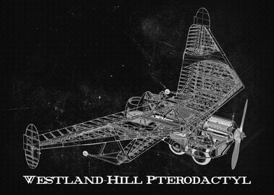 Westland Hill Pterodactyl