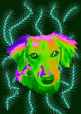 Dog in colorful abstract