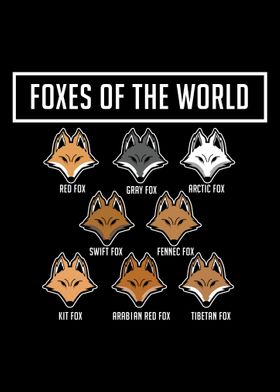 Foxes Of The World