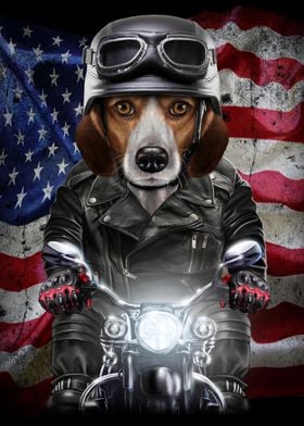 Beagle Dog on Motorcycle