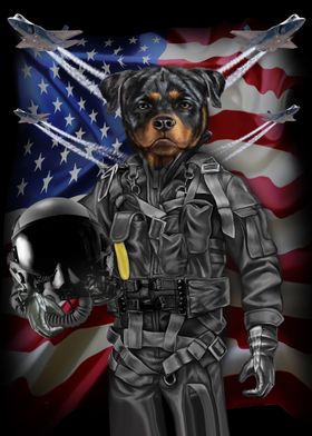 Rottweiler in Air Force