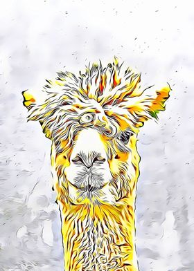 Lama Alpaca cute Portrait