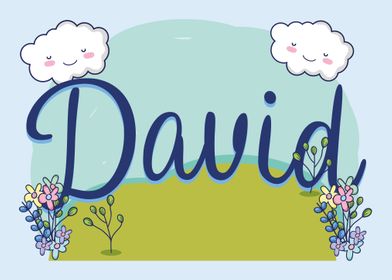 DAVID Baby Name Sign Gift