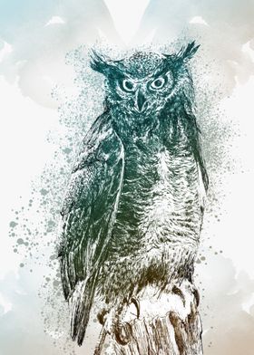 Wise owl