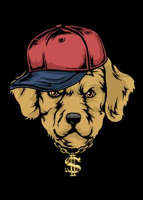 Hip Hop Golden Retriever