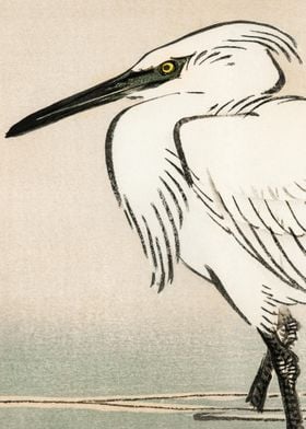 White Egret Traditional Ja