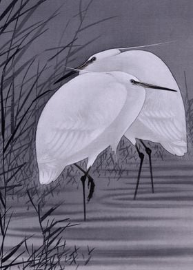 Egrets Traditional Japanes