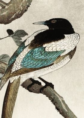 Magpie Birds Traditional J