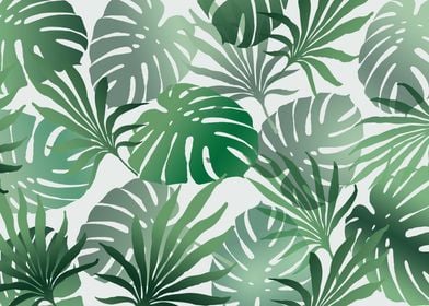 Monstera Palm Jungle Leaf