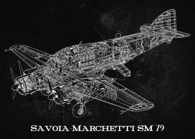 SavoiaMarchetti SM 79