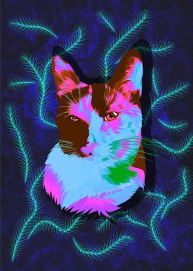 Colorful cat pop art