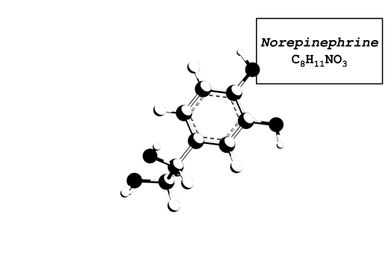 Norepinephrine