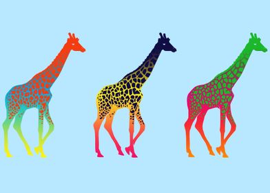 Rainbow giraffes