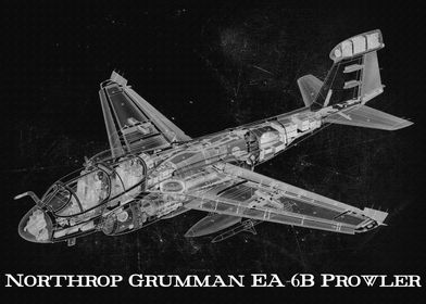 Northrop Grumman EA6B Pro