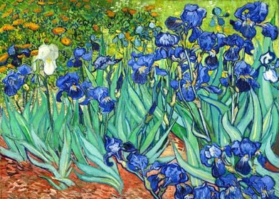 Irises Vincent van Gogh 