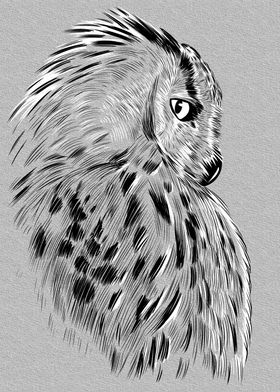 Profile owl sketch