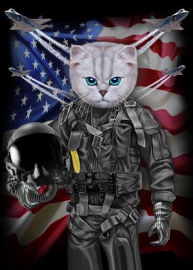 Cat in Air Force