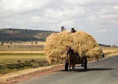 cart laden with straw 