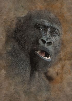 Gorilla