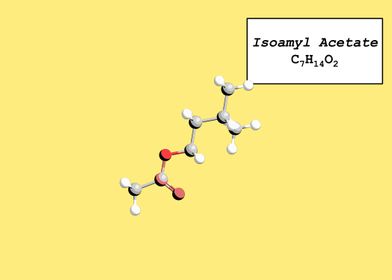 Isoamyl Acetate