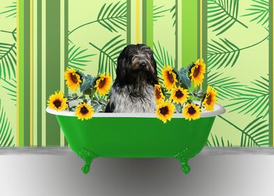 Schapendoes Dog Bathtub 