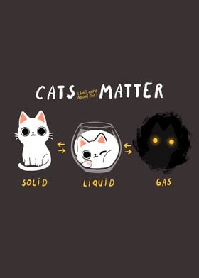 Cat Physics