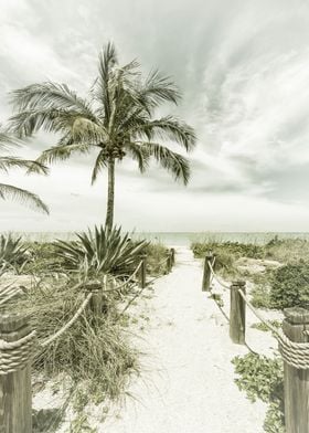 Path to the beach Vintage