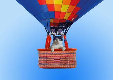 Hot Air Ballon cat