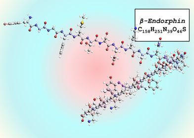 Beta Endorphin
