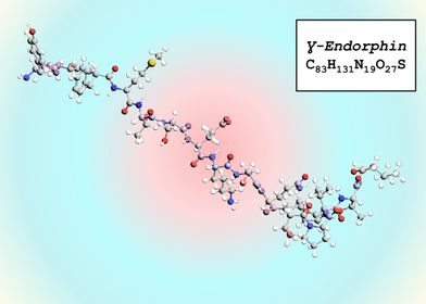 Gamma Endorphin