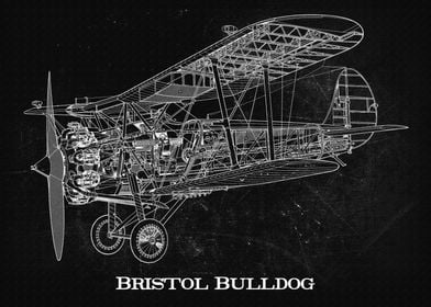 Bristol Bulldog