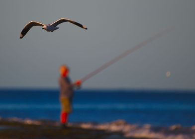 A fisherman behind a gull