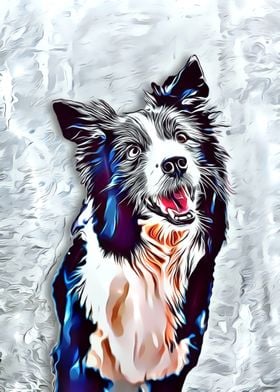 Border Collie cute dog 