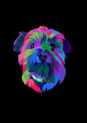 Colorful yorkie dog