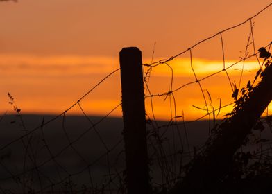 Fence Silhouette at Sunset