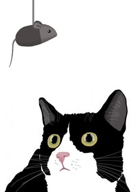 Cat and Mouse