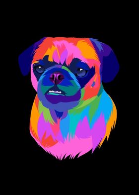 Colorful pug puppies dog